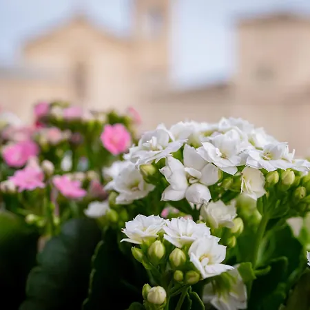 Balcony On The Old Town *