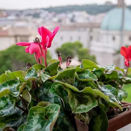 Balcony On The Old Town *